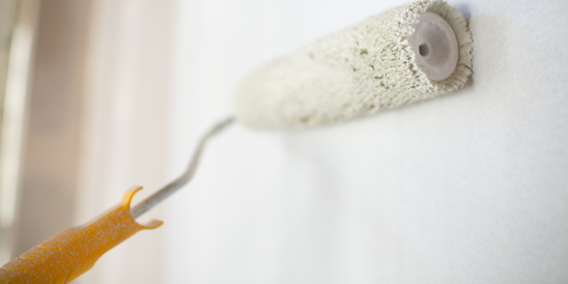 Painting on to New Plaster | Essential Tips to Follow